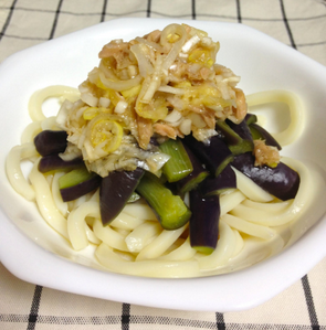 ネギツナだれの冷やしうどん